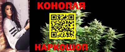 apvp Ставрополь