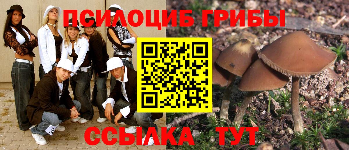 Псилоцибиновые грибы мицелий Нурлат