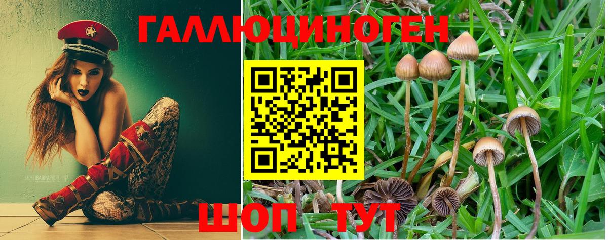 Галлюциногенные грибы Cubensis  Вход с VPN  Нурлат  Псилоцибиновые грибы мицелий 